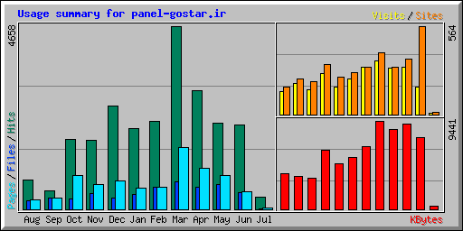 Usage summary for panel-gostar.ir